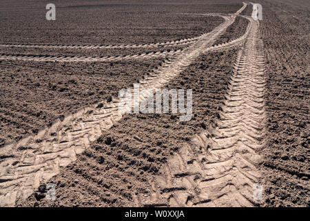 Les chenilles du tracteur, un champ près de Oberweser, Weser Uplands, Thuringe, Hesse, Allemagne Banque D'Images