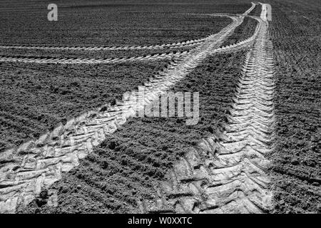 Les chenilles du tracteur, un champ près de Oberweser, Weser Uplands, Thuringe, Hesse, Allemagne Banque D'Images