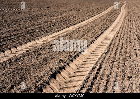 Les chenilles du tracteur, un champ près de Oberweser, Weser Uplands, Thuringe, Hesse, Allemagne Banque D'Images