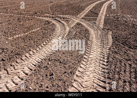 Les chenilles du tracteur, un champ près de Oberweser, Weser Uplands, Thuringe, Hesse, Allemagne Banque D'Images