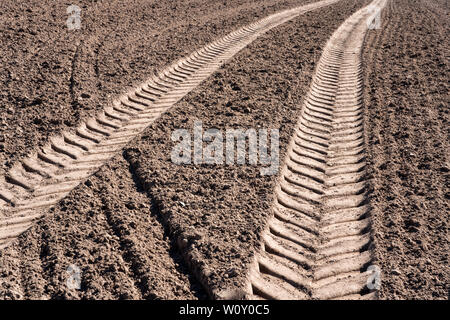 Les chenilles du tracteur, un champ près de Oberweser, Weser Uplands, Thuringe, Hesse, Allemagne Banque D'Images