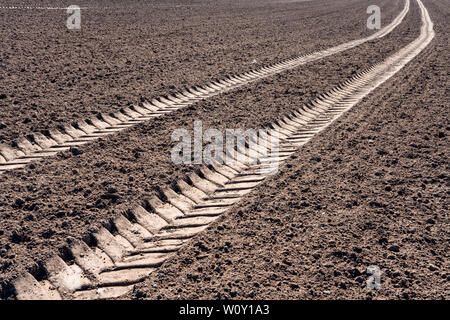 Les chenilles du tracteur, un champ près de Oberweser, Weser Uplands, Thuringe, Hesse, Allemagne Banque D'Images