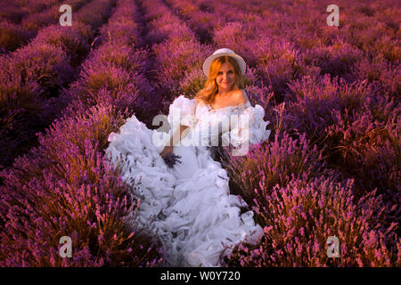 Belle jeune fille marche dans un champ de lavande Banque D'Images