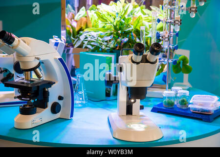 Close-up de travail de laboratoire à des microscopes Banque D'Images