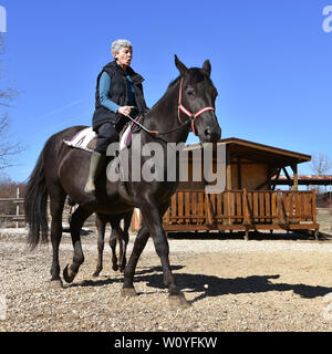 L'équitation thérapeutique pour personnes âgées. Femme de plus de 50 ans d'âge sur un cheval. Mare noire avec peu de colt. Journée ensoleillée dans les écuries Banque D'Images