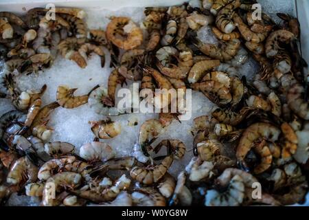 Vente de crevettes, percado, fruits de mer de la mer. La nourriture de la mer. marché destination touristique de Puerto Peñasco, Sonora, Mexique .. (Photo : Luis Gutierrez /NortePhoto.com) percado, Venta de camaron, mariscos de la pesca del dia.comida. mar del mercado del destino turistico Puerto Peñasco, Sonora, Mexique.. Banque D'Images