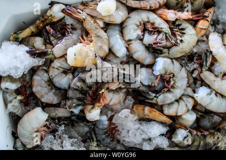 Vente de crevettes, percado, fruits de mer de la mer. La nourriture de la mer. marché destination touristique de Puerto Peñasco, Sonora, Mexique .. (Photo : Luis Gutierrez /NortePhoto.com) percado, Venta de camaron, mariscos de la pesca del dia.comida. mar del mercado del destino turistico Puerto Peñasco, Sonora, Mexique.. Banque D'Images