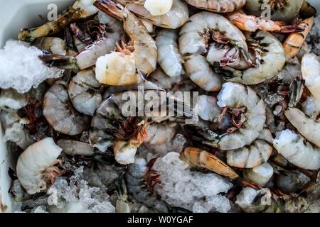 Vente de crevettes, percado, fruits de mer de la mer. La nourriture de la mer. marché destination touristique de Puerto Peñasco, Sonora, Mexique .. (Photo : Luis Gutierrez /NortePhoto.com) percado, Venta de camaron, mariscos de la pesca del dia.comida. mar del mercado del destino turistico Puerto Peñasco, Sonora, Mexique.. Banque D'Images