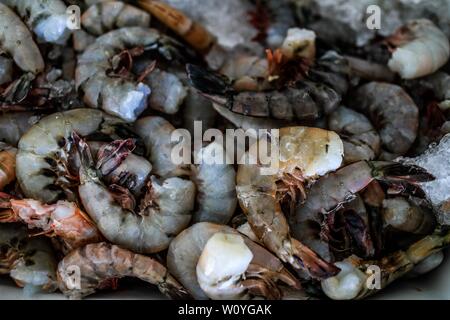 Vente de crevettes, percado, fruits de mer de la mer. La nourriture de la mer. marché destination touristique de Puerto Peñasco, Sonora, Mexique .. (Photo : Luis Gutierrez /NortePhoto.com) percado, Venta de camaron, mariscos de la pesca del dia.comida. mar del mercado del destino turistico Puerto Peñasco, Sonora, Mexique.. Banque D'Images