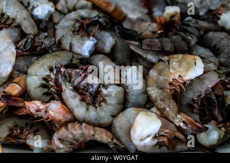 Vente de crevettes, percado, fruits de mer de la mer. La nourriture de la mer. marché destination touristique de Puerto Peñasco, Sonora, Mexique .. (Photo : Luis Gutierrez /NortePhoto.com) percado, Venta de camaron, mariscos de la pesca del dia.comida. mar del mercado del destino turistico Puerto Peñasco, Sonora, Mexique.. Banque D'Images