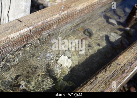 Abreuvoir en bois avec de l'eau douce Banque D'Images