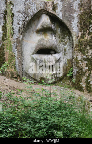 "La bouche de décharge monumentale de vérité' (Ústa pravdy) sculpté par le sculpteur tchèque Radomír Dvořák (2006) dans la carrière abandonnée près de Lipnice nad Sázavou En Vysočina, République tchèque. Le relief est l'une des trois qui soulage le Monument National de l'espionnage (Národní památník odposlechu) situés dans trois carrières à proximité. Banque D'Images