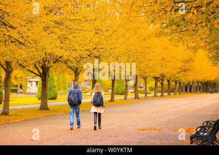 Londres, Royaume-Uni - Octobre 12, 2018 - vue arrière d'un couple en train de marcher sur une avenue bordée d'arbres à Regent's Park Banque D'Images