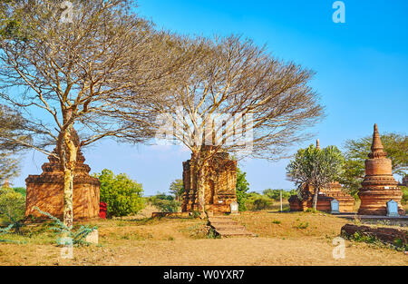 Le grand site archéologique de Bagan : de nombreux petits temples et stupas, caché parmi les arbres de la savane, Myanmar Banque D'Images