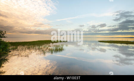 Réflexions sur les eaux du Lough Neagh encalminés, County Armagh, en Irlande du Nord Banque D'Images