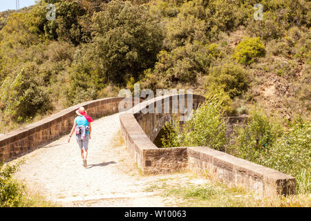 Femme pèlerine marchant le Camino de Santiago le chemin de Saint-Jacques entre Puente la Reina et Estella dans la région de Navarre, dans le nord de l'Espagne Banque D'Images