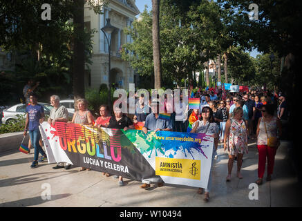 Les gens et les militants de l'ONG Amnesty International mars le long de la rue comme ils portent une grande banderole avec le mot d'Orgueil, lutte et célébrer au cours d'une manifestation pour célébrer la Journée internationale de la fierté, 2019 LGTBI organisé par l'andalousie Fédération Arc-en-ciel.Des milliers de personnes à travers le monde participent à la fierté, LGTBI marqué l'anniversaire des 50 ans de Stonewall riot qui a commémoré la lutte des gays, lesbiennes, bisexuels, transgenres et les démonstrations au cours de la première en nous en faveur de leurs droits. Banque D'Images