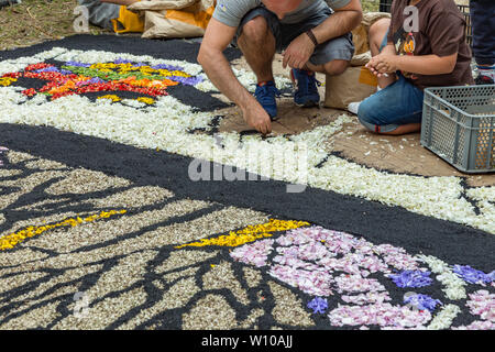 La Orotava, Tenerife, Espagne - 27 juin 2019. Beau tapis de fleurs à La Orotava au cours de Corpus Christi. Célèbre événement religieux et la concurrence de f Banque D'Images