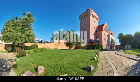 Château Royal, Poznan, Pologne. Image panoramique pris par un beau jour de printemps Banque D'Images