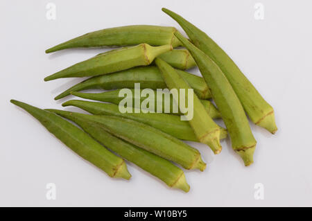 L'okra organique vert d'un jardin isolé sur fond blanc. Banque D'Images