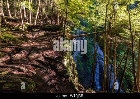 Moss Glen Falls - Stowe, Vermont Banque D'Images