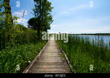 Passerelle en bois au bord du lac. Richard Bong, zone de loisirs de l'État Kansasville, Wisconsin Banque D'Images