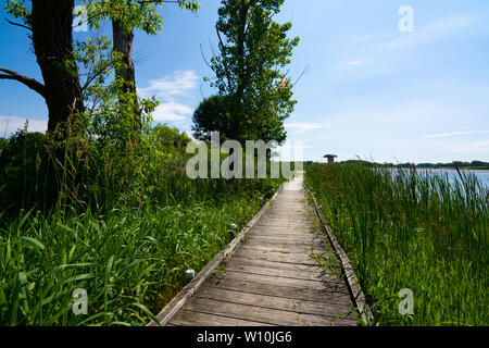 Passerelle en bois au bord du lac. Richard Bong, zone de loisirs de l'État Kansasville, Wisconsin Banque D'Images