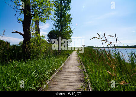 Passerelle en bois au bord du lac. Richard Bong, zone de loisirs de l'État Kansasville, Wisconsin Banque D'Images