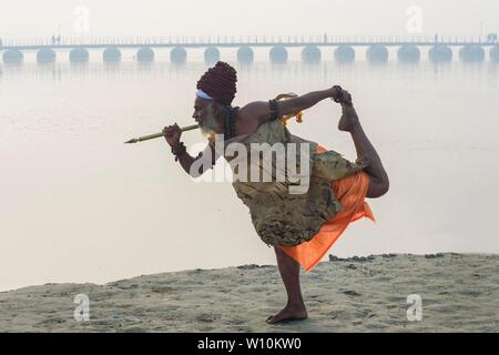 Sadhu pratiquant le yoga au lever du soleil sur les rives du Gange, pour un usage éditorial uniquement, Allahabad Kumbh Mela, le plus grand rassemblement religieux, de l'Uttar Banque D'Images