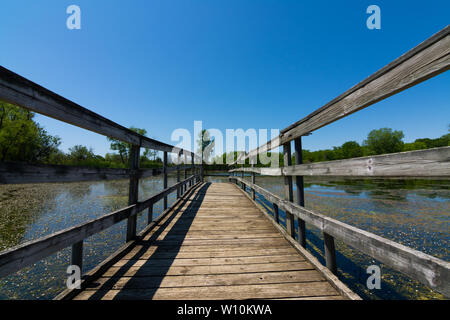 Passerelle en bois sur l'étang dans Richard Bong, zone de loisirs de l'État Kansasville, Wisconsin Banque D'Images