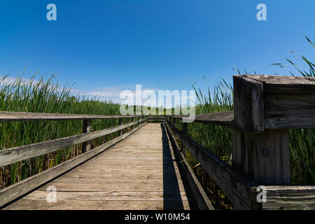 Passerelle en bois sur l'étang dans Richard Bong, zone de loisirs de l'État Kansasville, Wisconsin Banque D'Images