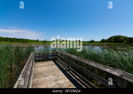 Passerelle en bois sur l'étang dans Richard Bong, zone de loisirs de l'État Kansasville, Wisconsin Banque D'Images