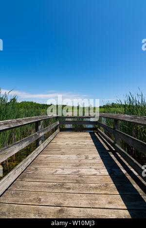 Passerelle en bois sur l'étang dans Richard Bong, zone de loisirs de l'État Kansasville, Wisconsin Banque D'Images