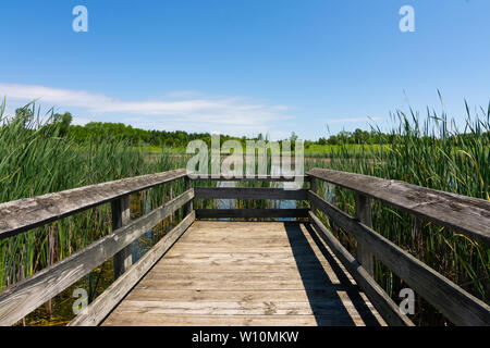 Passerelle en bois sur l'étang dans Richard Bong, zone de loisirs de l'État Kansasville, Wisconsin Banque D'Images