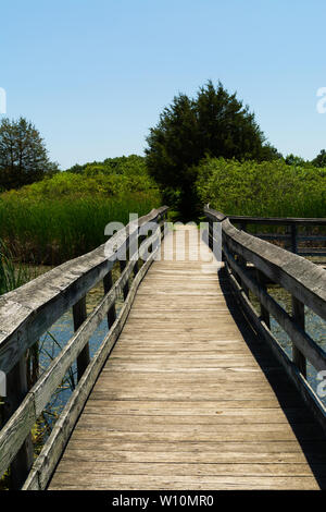 Passerelle en bois sur l'étang dans Richard Bong, zone de loisirs de l'État Kansasville, Wisconsin Banque D'Images