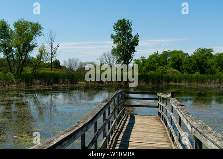 Passerelle en bois sur l'étang dans Richard Bong, zone de loisirs de l'État Kansasville, Wisconsin Banque D'Images