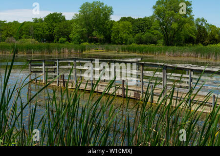 Passerelle en bois sur l'étang dans Richard Bong, zone de loisirs de l'État Kansasville, Wisconsin Banque D'Images