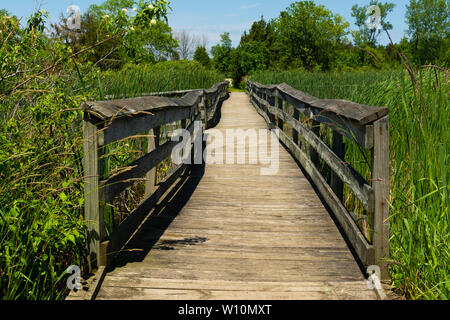 Passerelle en bois sur l'étang dans Richard Bong, zone de loisirs de l'État Kansasville, Wisconsin Banque D'Images