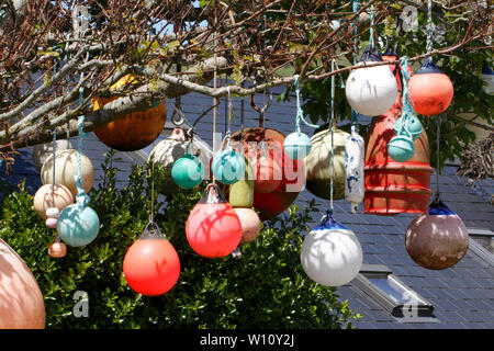 Accroché dans un arbre bouées dans le cadre d'une décoration de jardin. Pembrokeshire Wales, UK Banque D'Images