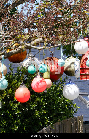 Accroché dans un arbre bouées dans le cadre d'une décoration de jardin. Pembrokeshire Wales, UK Banque D'Images