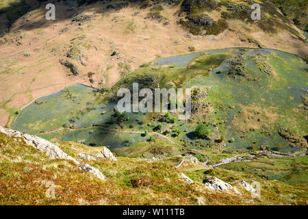 Donnant sur les collines couvertes de jacinthes d'un point de vue à Rannerdale Knotts, Parc National de Lake District, Cumbria, England, UK Banque D'Images