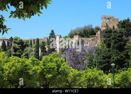 Les murs de la ville historique de Castillo de Gibralfaro, construit pour protéger l'Alcazaba et de la chambre les troupes, dans la ville de Malaga, sur la Costa del Sol, Espagne, Europe Banque D'Images