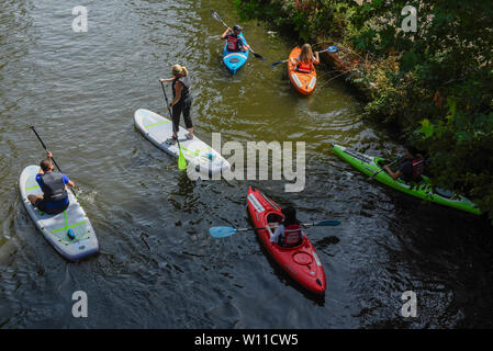 Londres, Royaume-Uni. 29 juin 2019. Météo France : Les gens se rafraîchir en prenant part à paddleboarding et kayak sur le Regent's Canal. Les températures sont appelées à progresser au 35C sur la journée la plus chaude de l'année jusqu'à présent. Crédit : Stephen Chung / Alamy Live News Banque D'Images