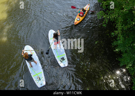 Londres, Royaume-Uni. 29 juin 2019. Météo France : Les gens se rafraîchir en prenant part à paddleboarding et kayak sur le Regent's Canal. Les températures sont appelées à progresser au 35C sur la journée la plus chaude de l'année jusqu'à présent. Crédit : Stephen Chung / Alamy Live News Banque D'Images