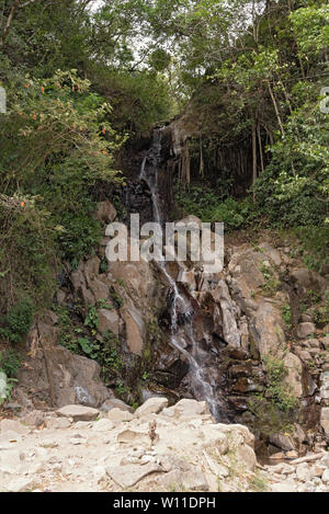 Petite cascade dans la région de Parc National Volcan Baru Panama Banque D'Images