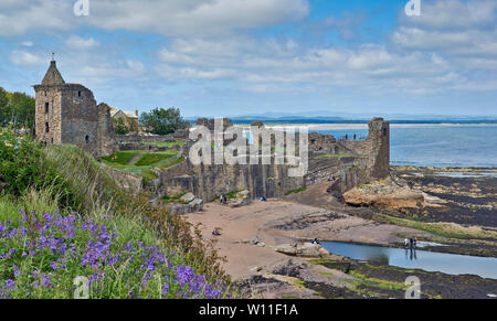 ST ANDREWS FIFE ECOSSE LE CHÂTEAU AVEC DES GENS À L'INTÉRIEUR DES TERRES ET SUR LA PLAGE AU DÉBUT DE L'ÉTÉ Banque D'Images