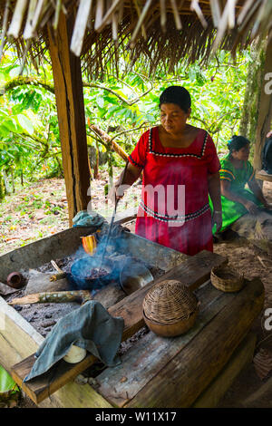 Griller les fèves de cacao, cacao, bio Oreba Oeste Arriba Rivière, Groupe ethnique Ngabe, province de Bocas del Toro, PANAMA, Amérique Centrale, Amérique Latine Banque D'Images