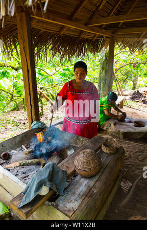 Griller les fèves de cacao, cacao, bio Oreba Oeste Arriba Rivière, Groupe ethnique Ngabe, province de Bocas del Toro, PANAMA, Amérique Centrale, Amérique Latine Banque D'Images