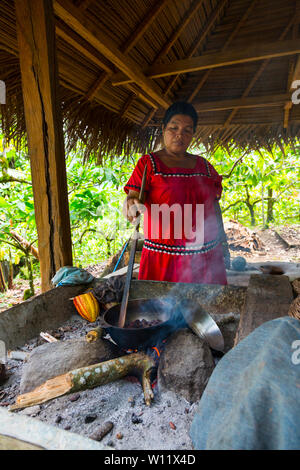 Griller les fèves de cacao, cacao, bio Oreba Oeste Arriba Rivière, Groupe ethnique Ngabe, province de Bocas del Toro, PANAMA, Amérique Centrale, Amérique Latine Banque D'Images