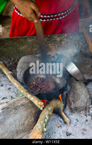 Griller les fèves de cacao, cacao, bio Oreba Oeste Arriba Rivière, Groupe ethnique Ngabe, province de Bocas del Toro, PANAMA, Amérique Centrale, Amérique Latine Banque D'Images